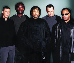 dmb13.jpg